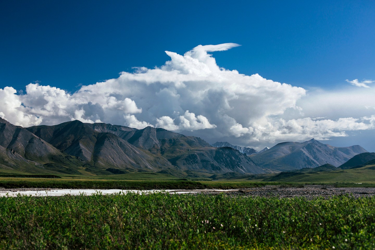 The Alaskan landscape