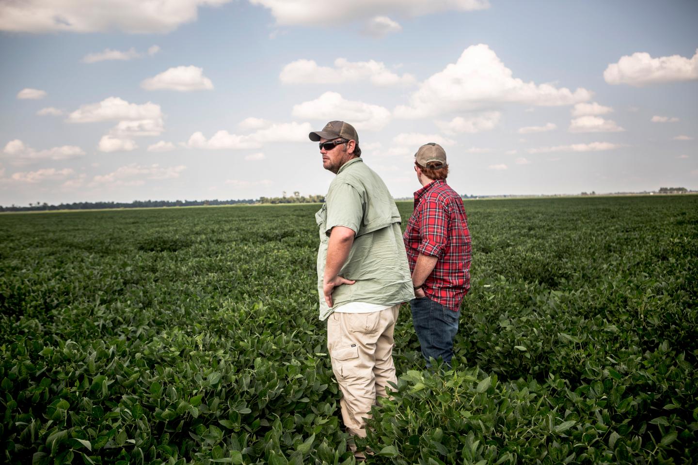 MISSISSIPPI COUNTY, AR - August 9, 2017: Brian Smith and his co