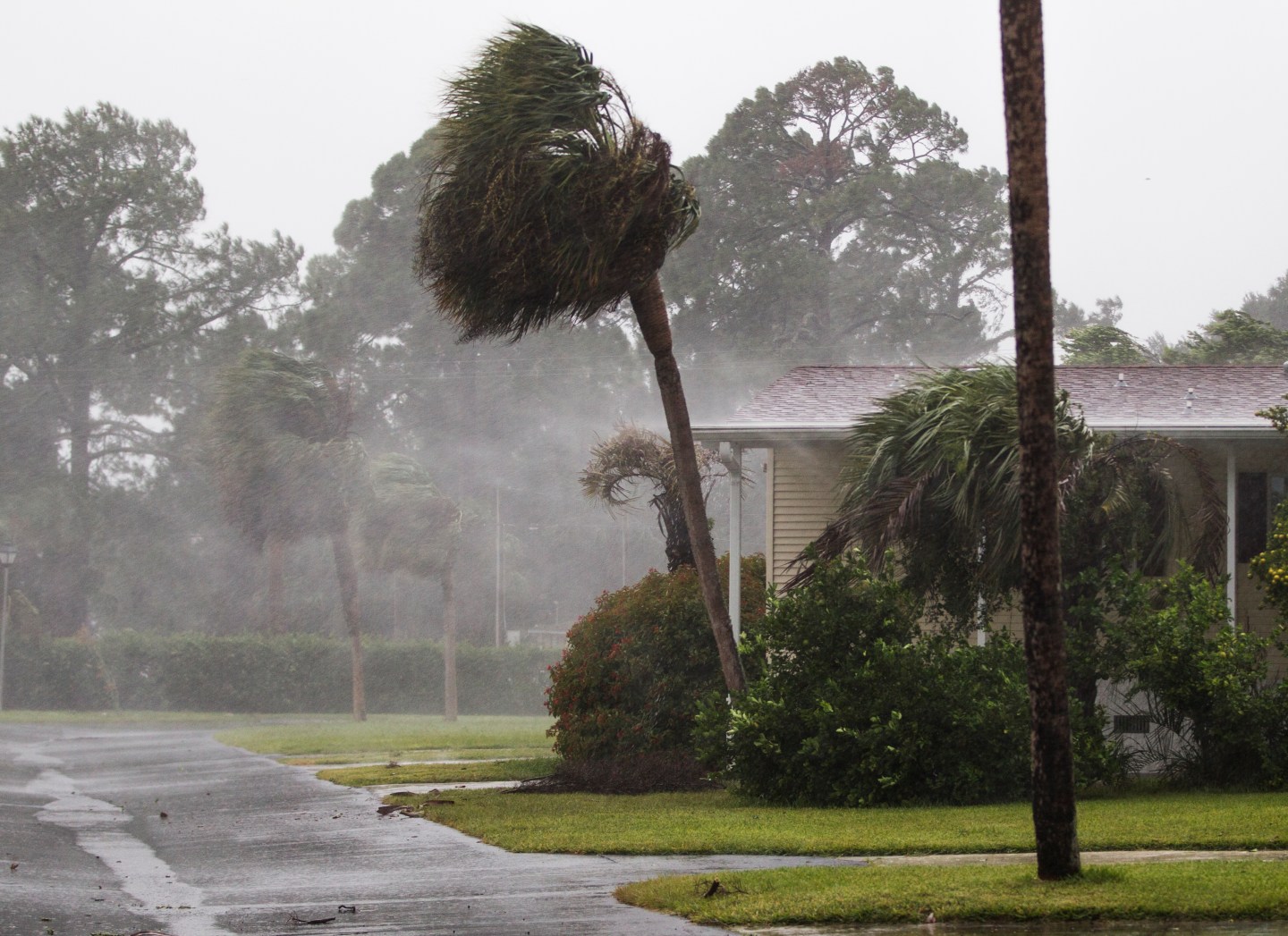 Powerful Hurricane Irma Slams Into Florida