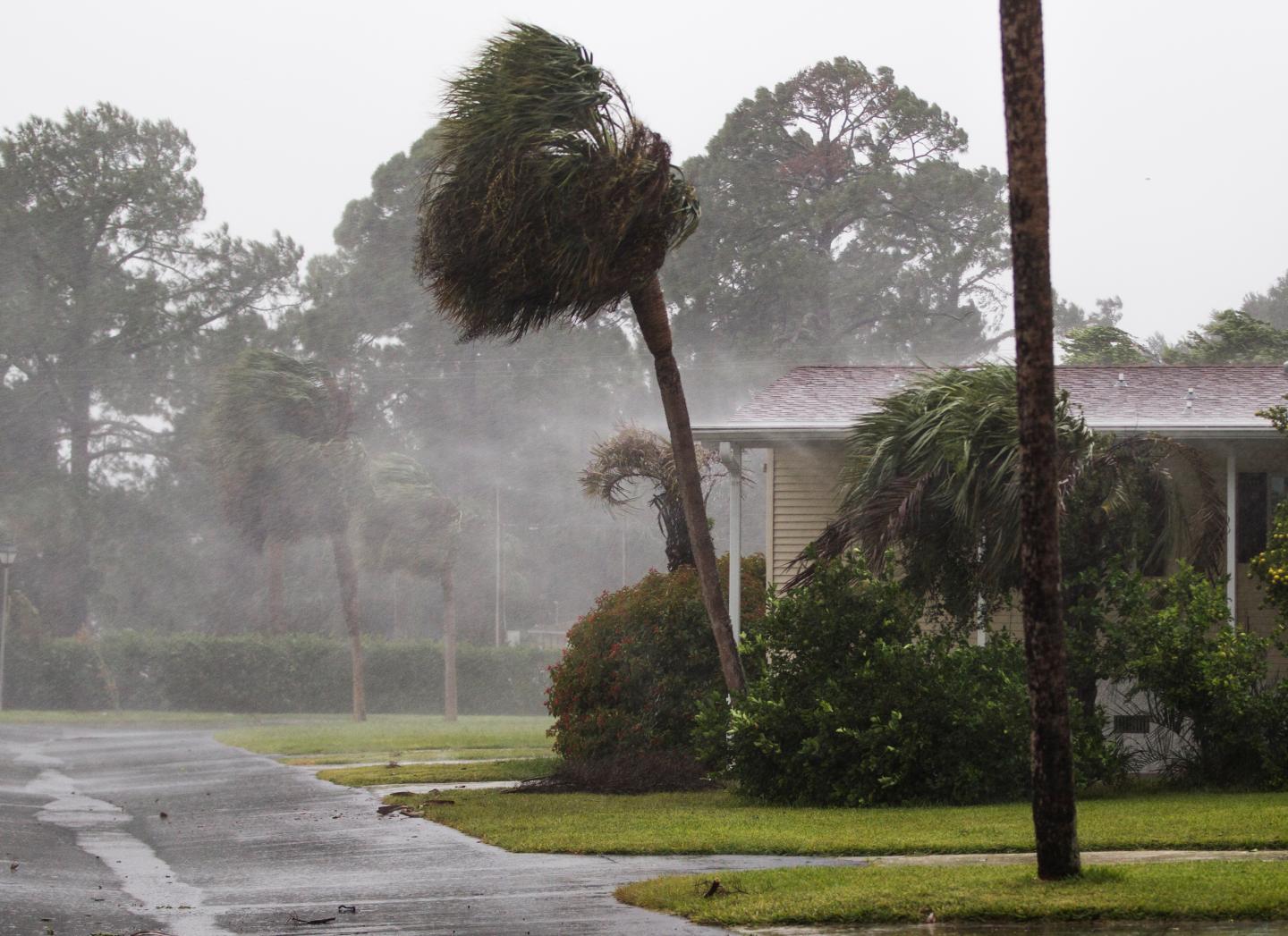 Powerful Hurricane Irma Slams Into Florida