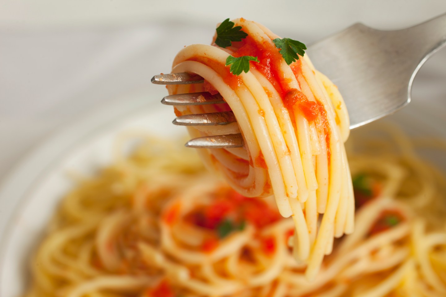 Spaghetti with tomato sauce