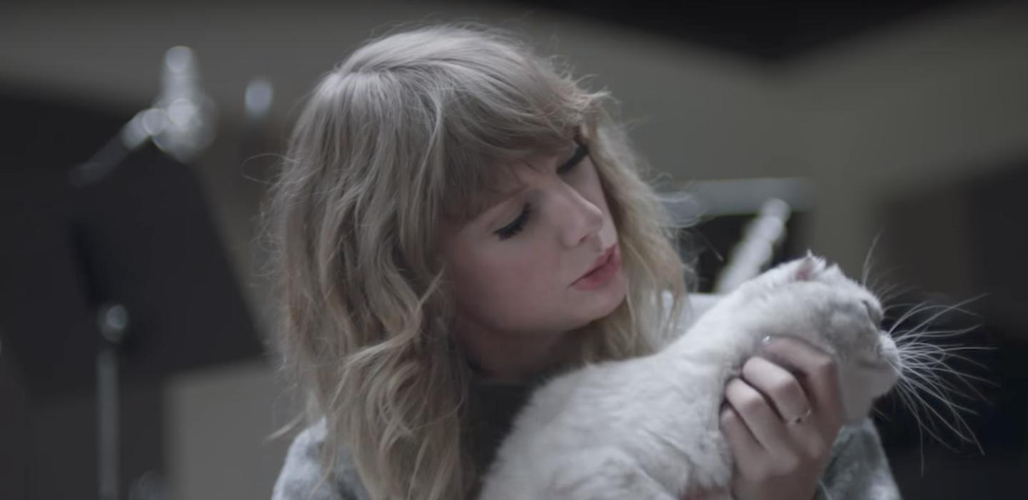 Watch Taylor Swift Talk to Her Cat, Eat Cookie Dough, and Beat Up Andy Samberg