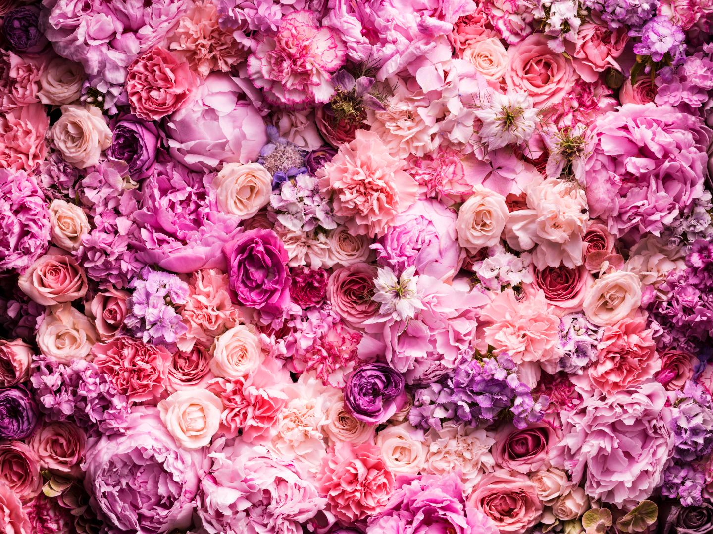 Various cut flowers, detail