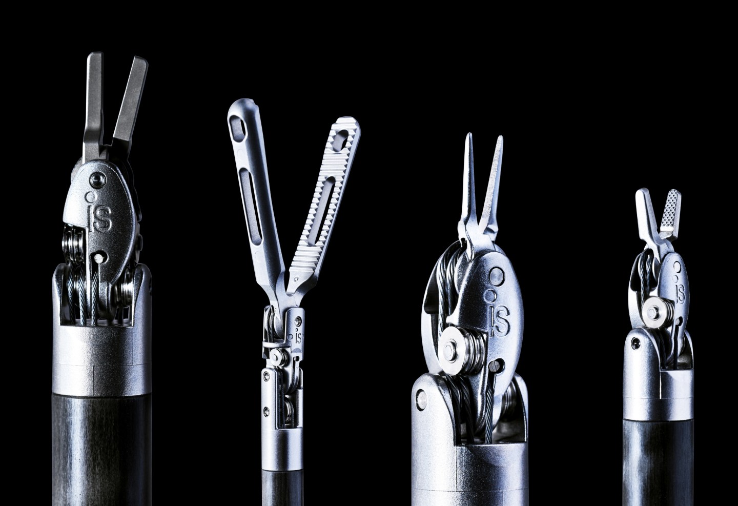 BIO.11.01.17.OPENERIMAGE