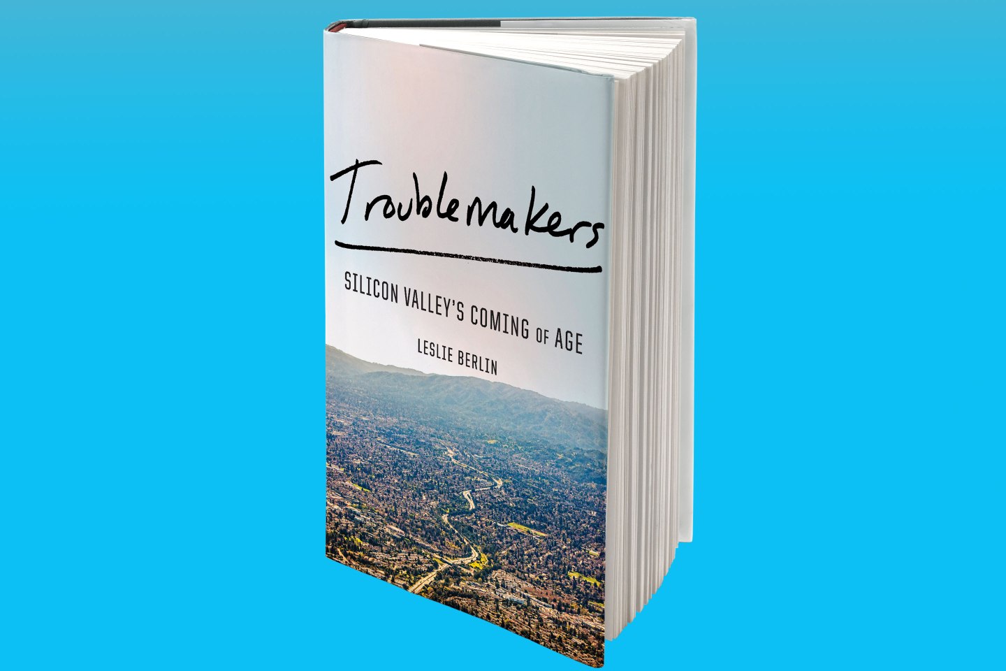 Troublemakers by Leslie Berlin
