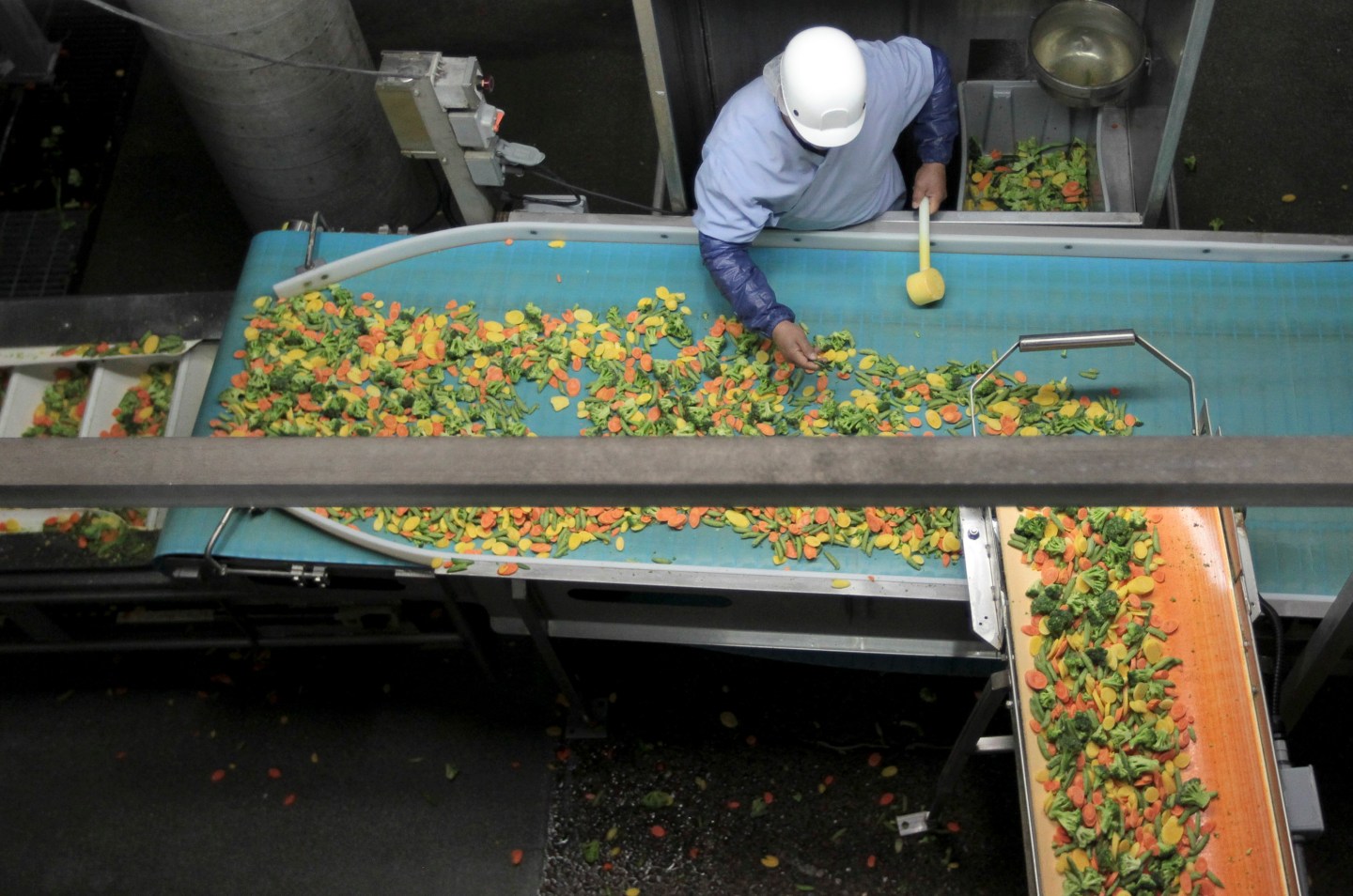 Operations At A NORPAC Foods Inc. Plant