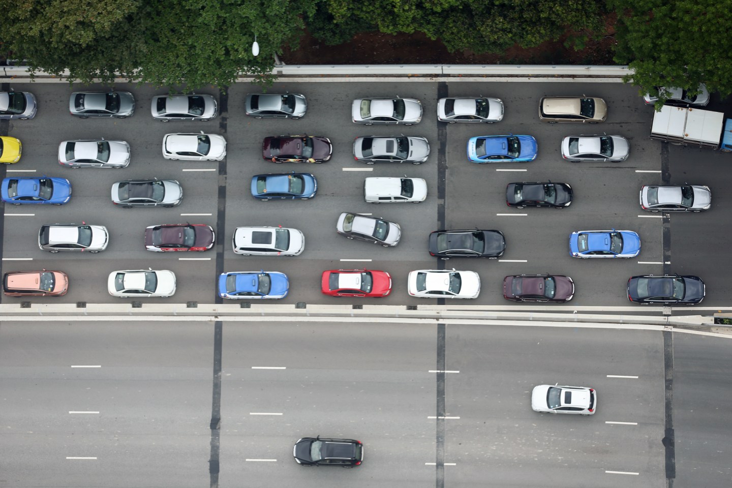 Black Knights Aerial Display SG50