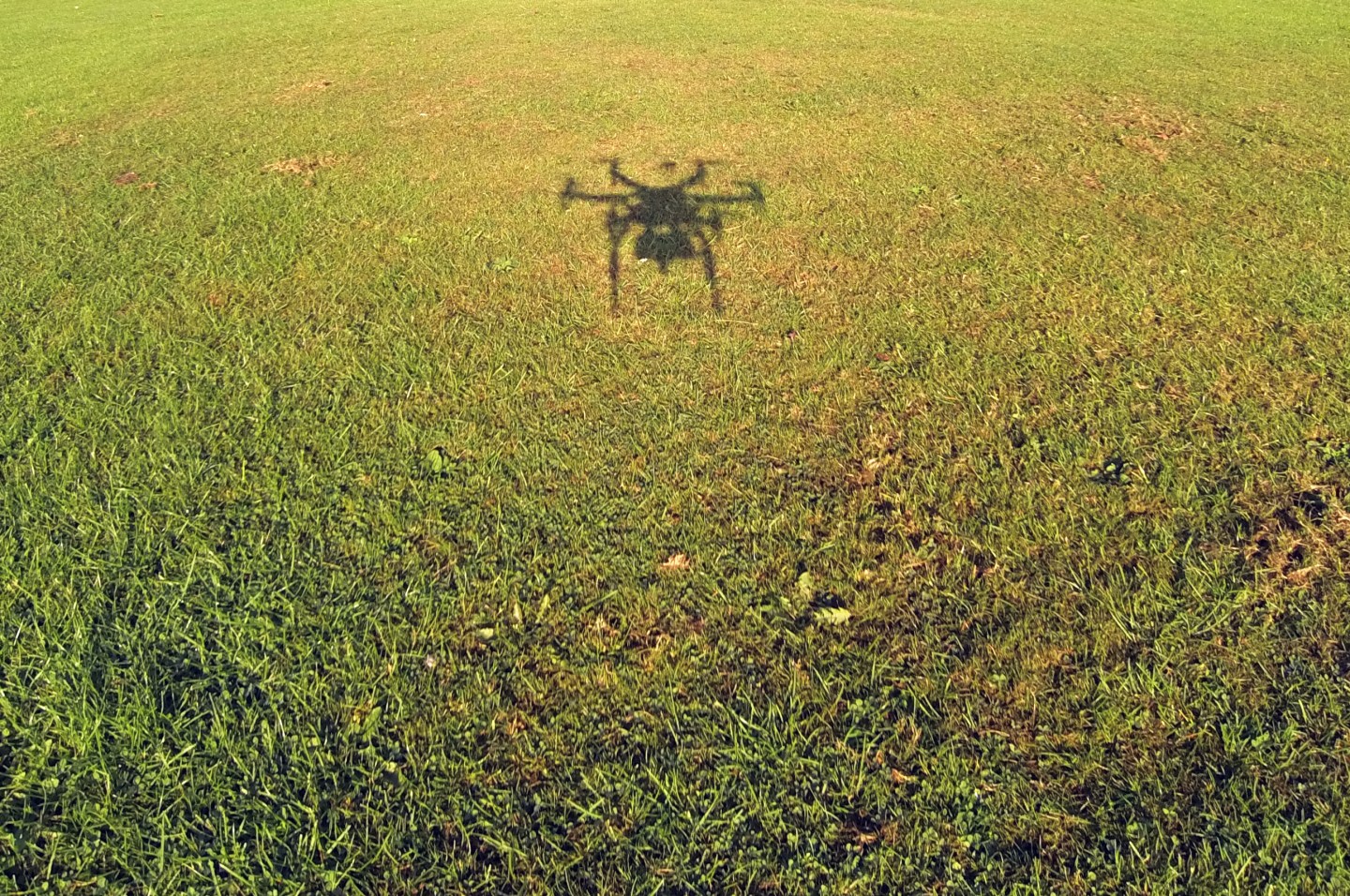 Shadow of a Drone