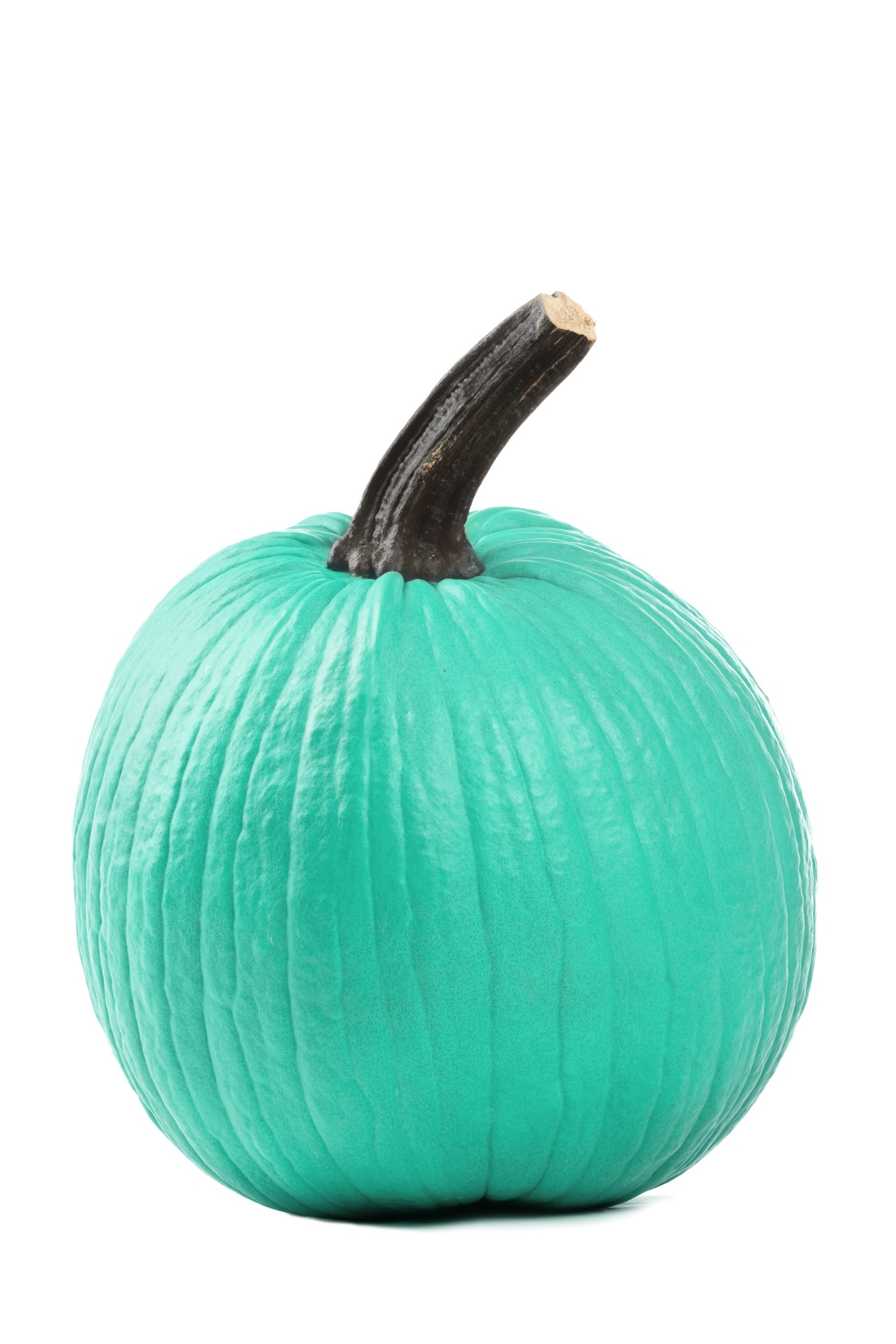 Teal Pumpkin
