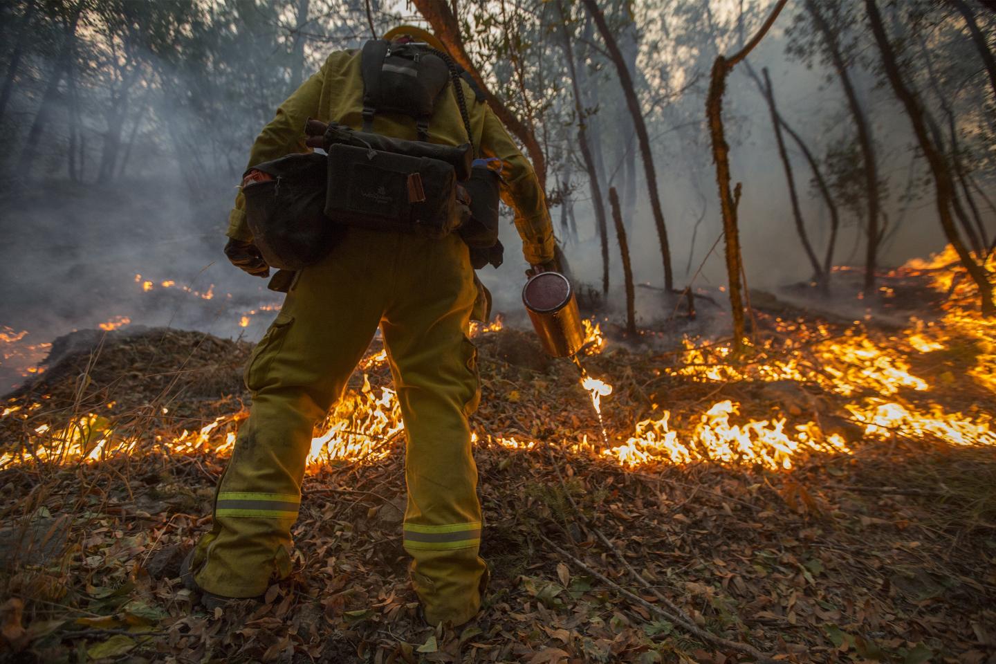 Multiple Wildfires Continue To Ravage Through California Wine Country