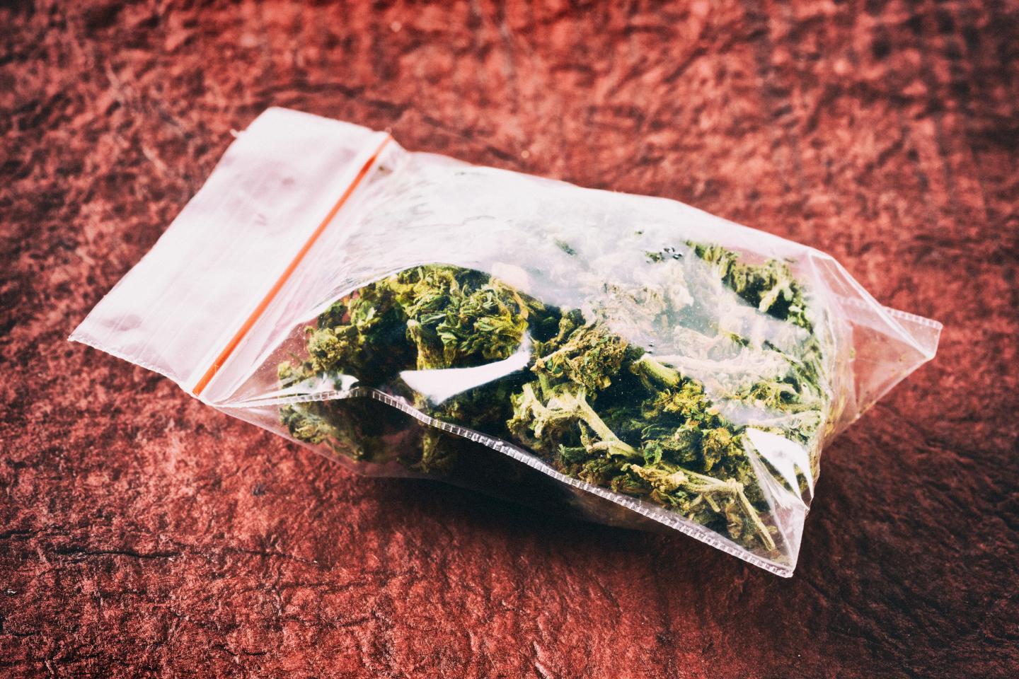 Close-up of cannabis in plastic bag against red