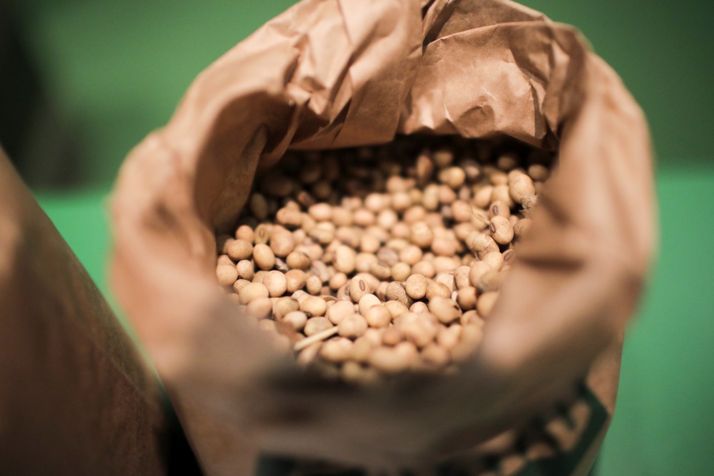 Soy beans