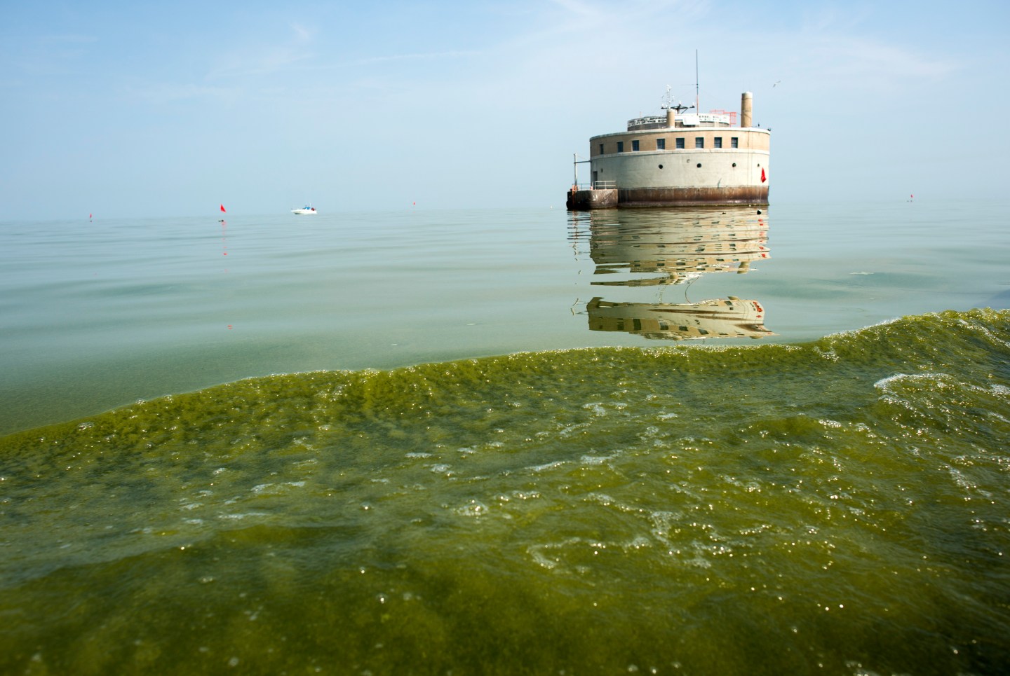 Toledo Water Contamination