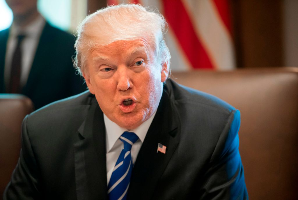 US-POLITICS-TRUMP-CABINET