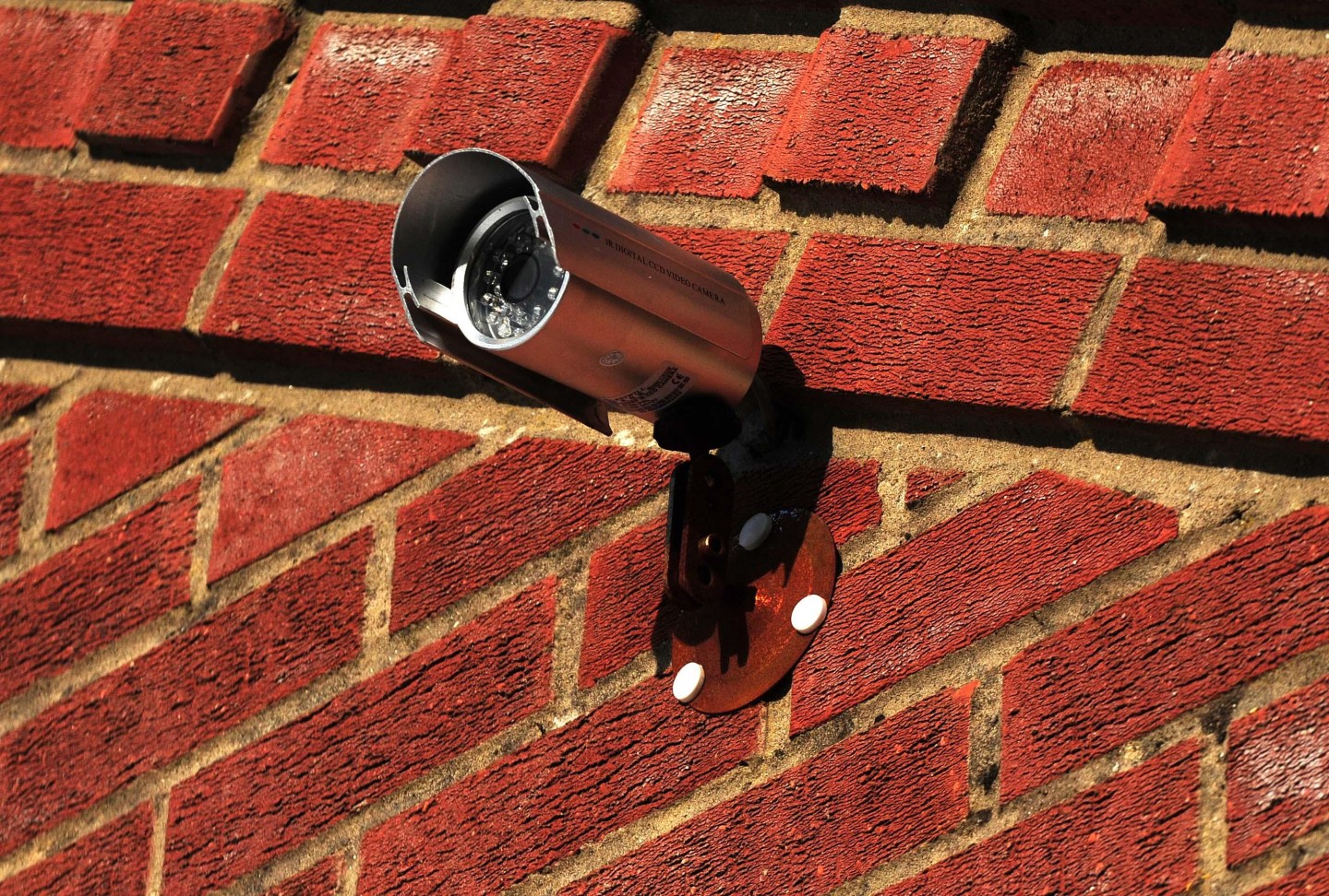 Simulated-sex couple sentenced