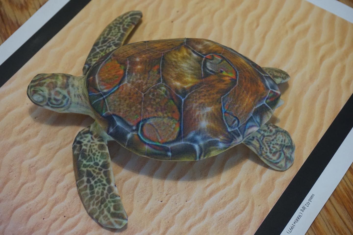 MIT turtle mistaken for a rifle.