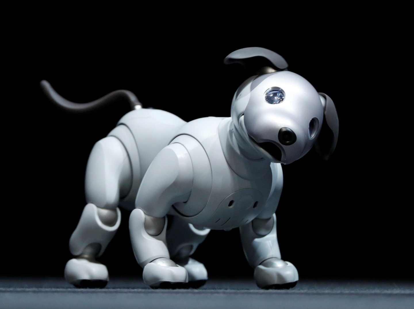 Sony robot dog aibo with floppy ears and waging tail in Tokyo