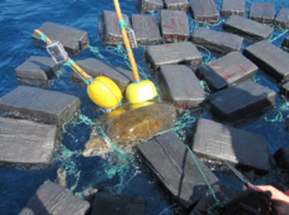 U.S. Coast Guard Cutter Seizes Nearly 7 Tons of Cocaine and Rescues Ocean Wildlife