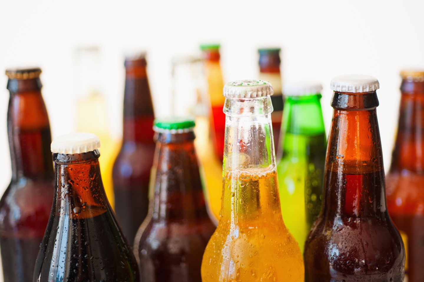 Studio shot of various beer bottles