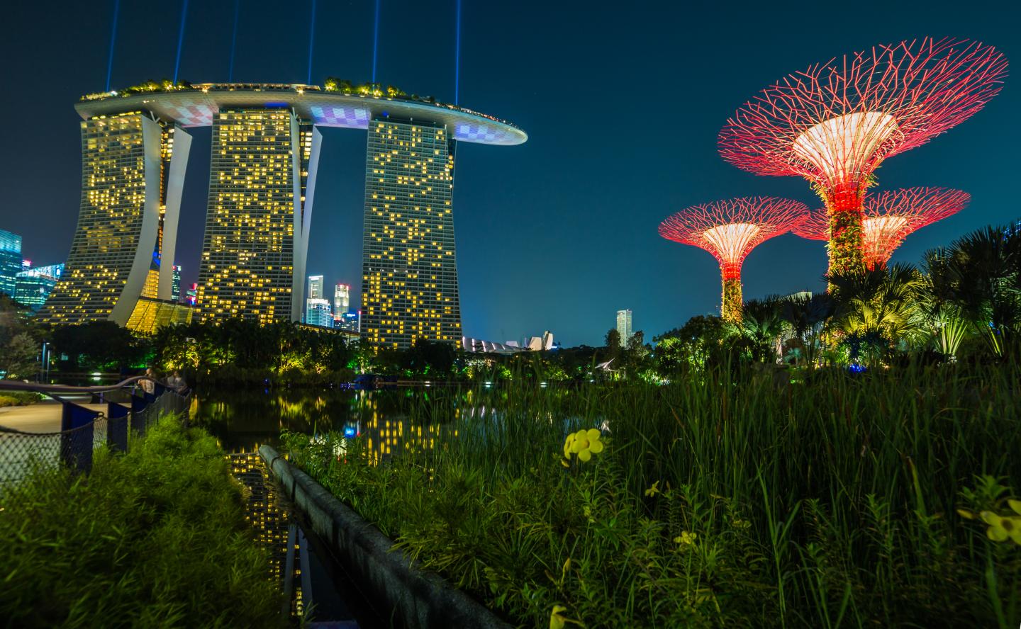 The Marina Bay Sand View