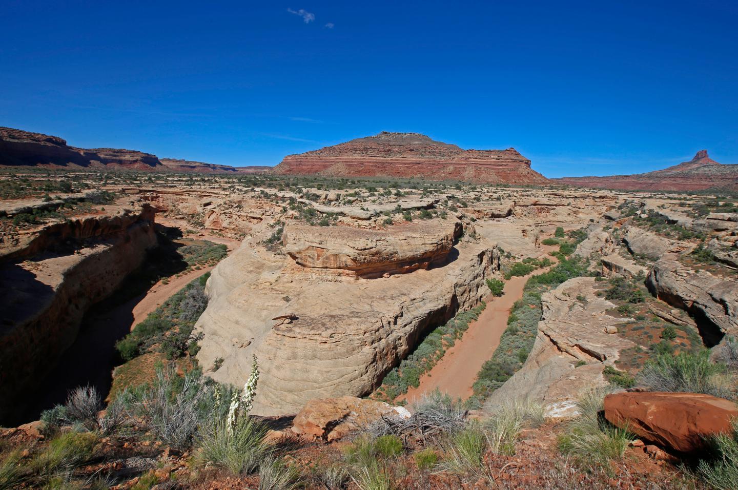 Two Utah National Momments Under Review By Deparetment of Interior