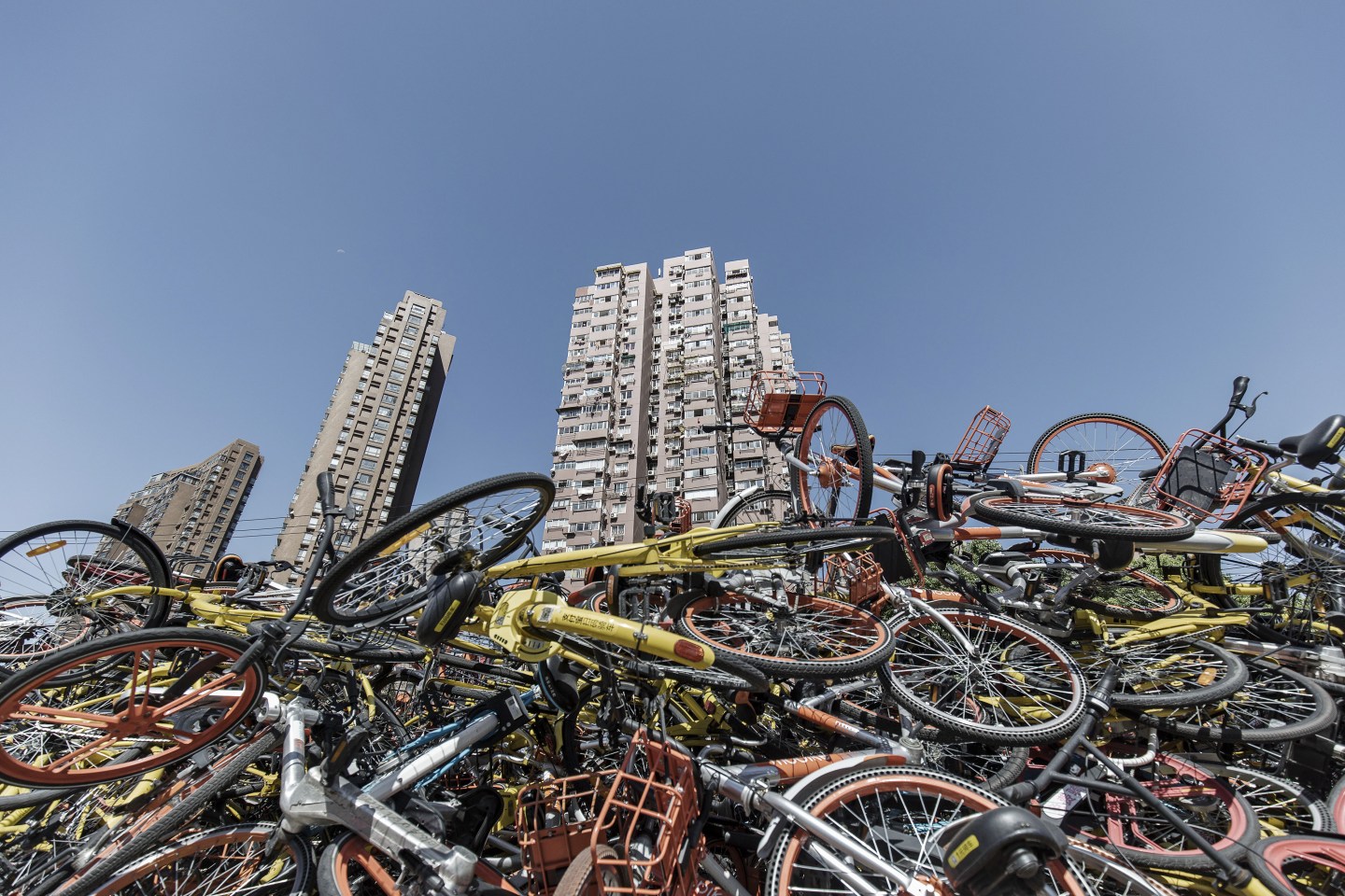 Ride-Sharing Bicycles on the Streets of Shanghai