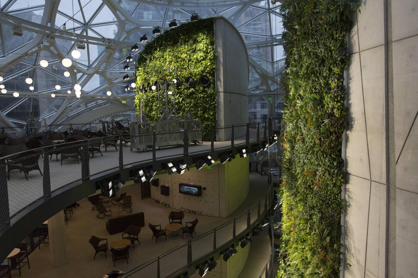 Inside Amazon's Giant Spheres, Where Workers Will Chill In A Mini Rainforest