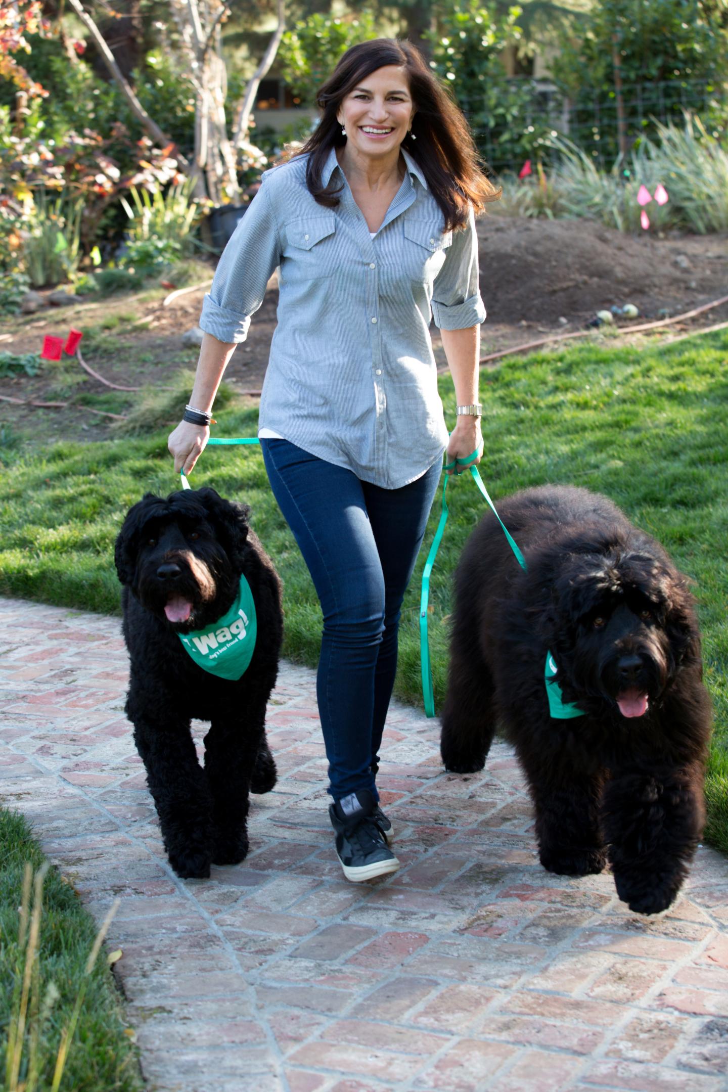 On-Demand Dog Walking App Wag Nabbed $300 Million in Fresh Cash From SoftBank