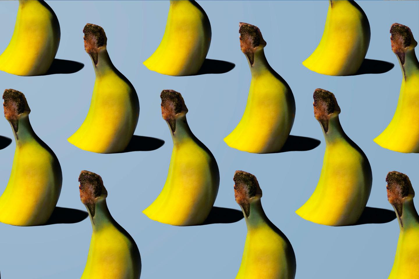 Bananas.