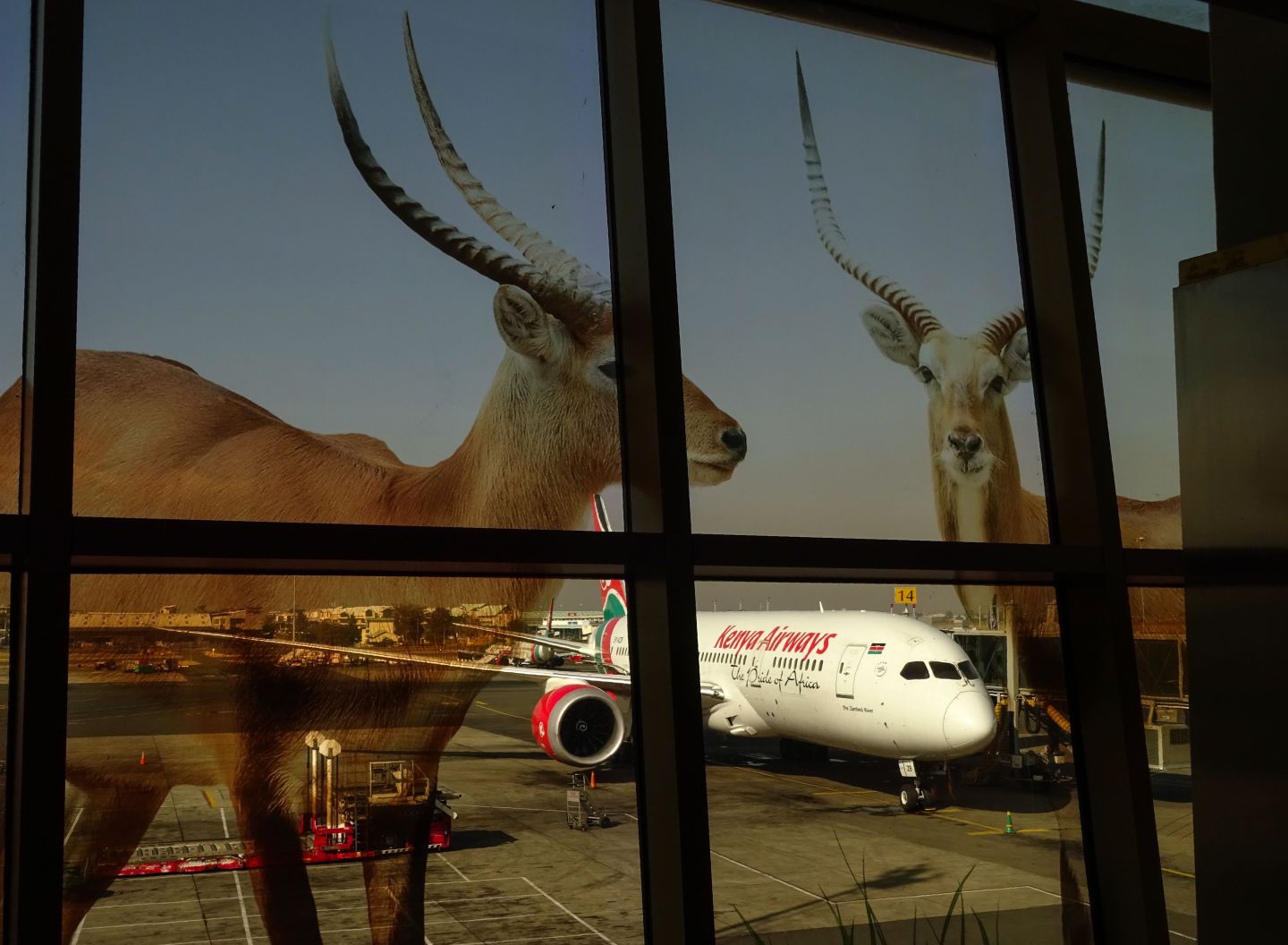 Dow jones industrial average boeing stock 2018