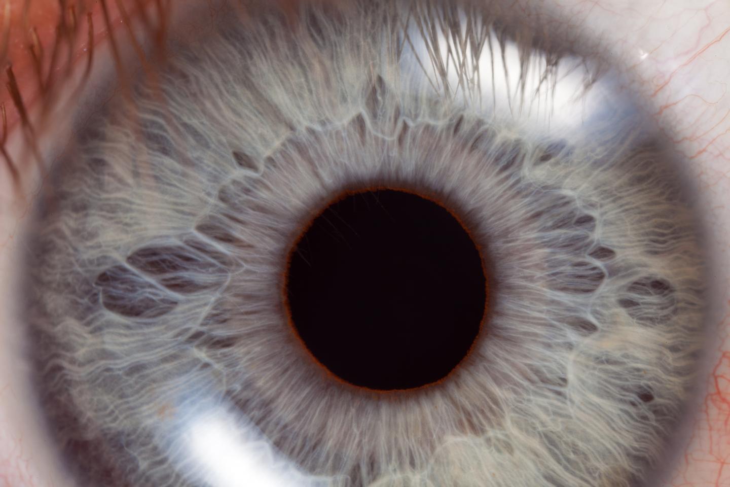 Extreme close-up of bright blue eye and iris
