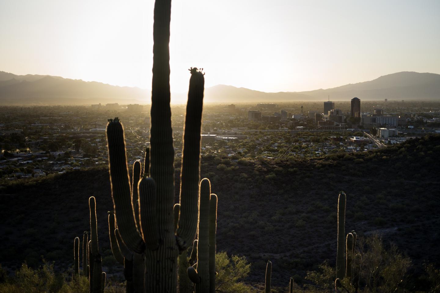 US-LANDSCAPE-TUCSON