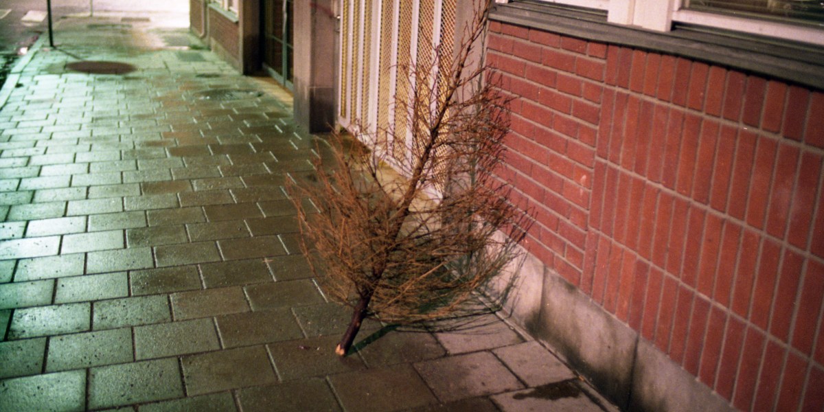 Woman Returns Dead Christmas Tree to Costco on Jan. 4 Fortune