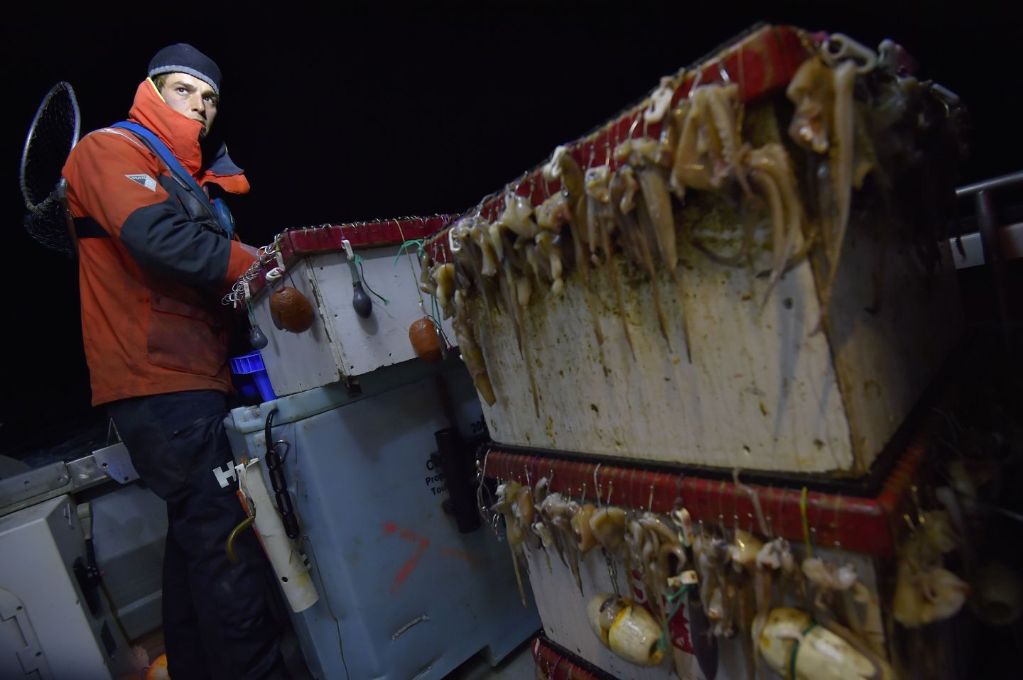 A French fisherman prepares his baits to bottom longline fishing aboard his boat Miyabi offshore Belle-Ile-en-Mer on December 15, 2016, western France.