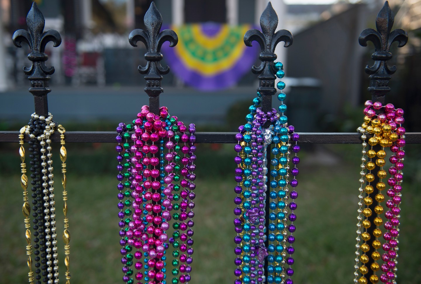 Mardi Gras 2016 - February 7, 2016