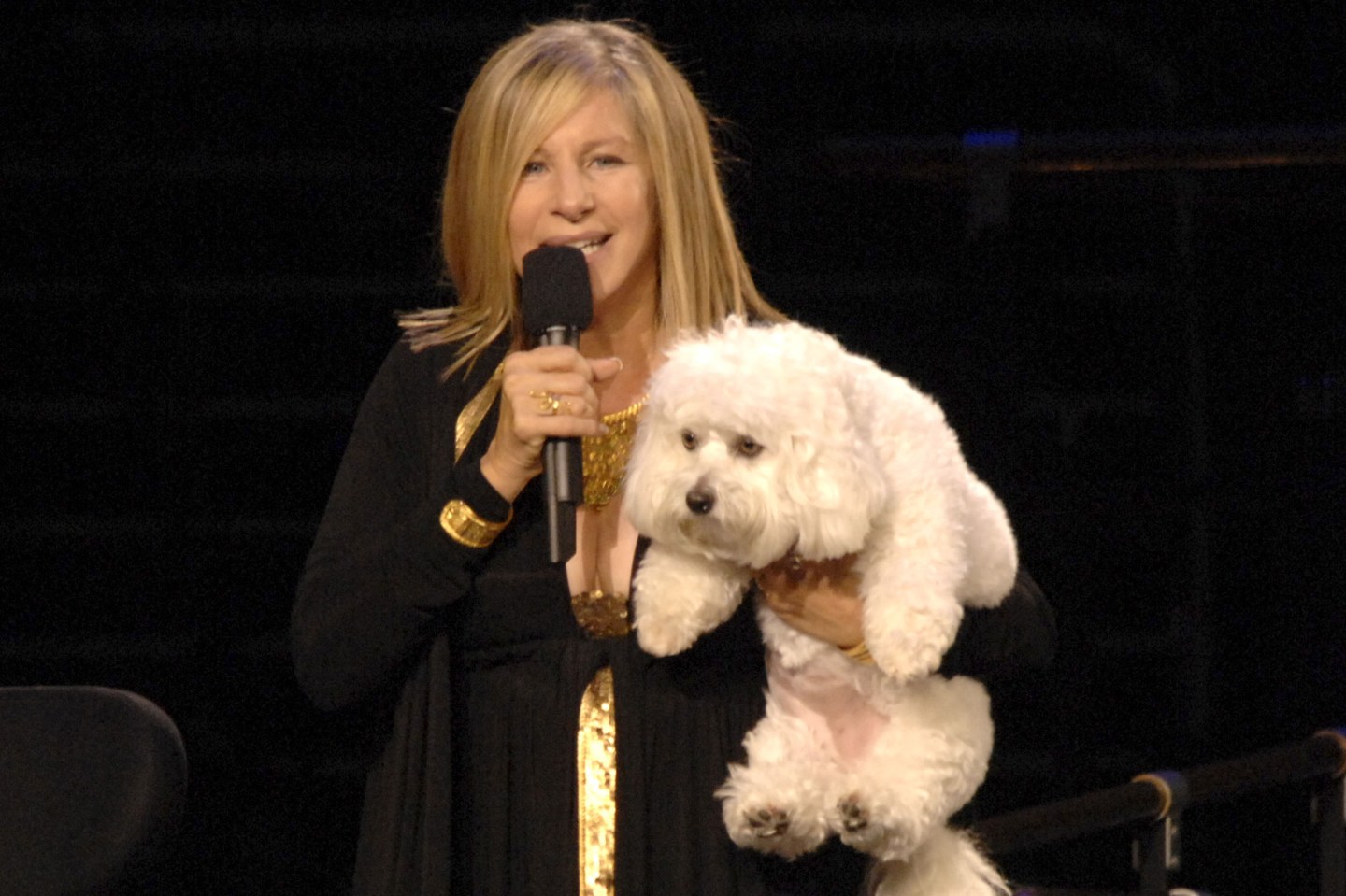 barbra-streisand-dog-cloned-sammie