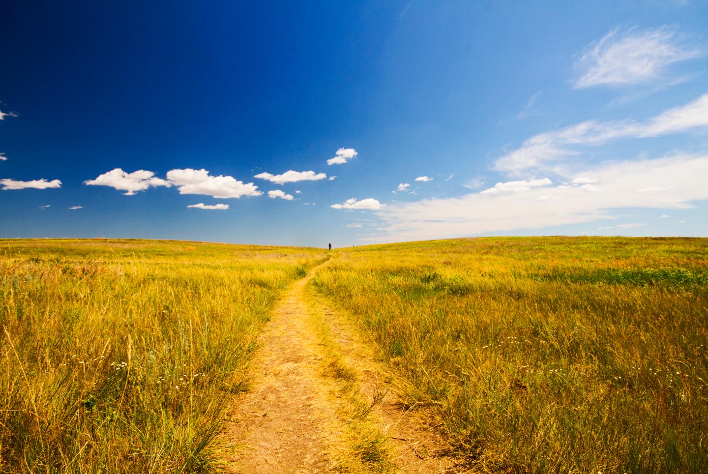 Distant Figure on Wide Open Prarie
