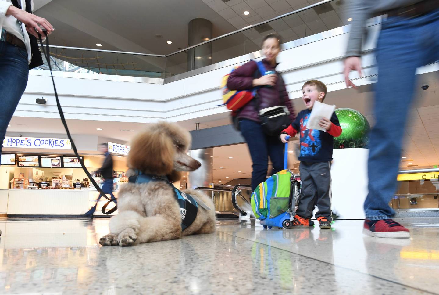 Denver International Airport