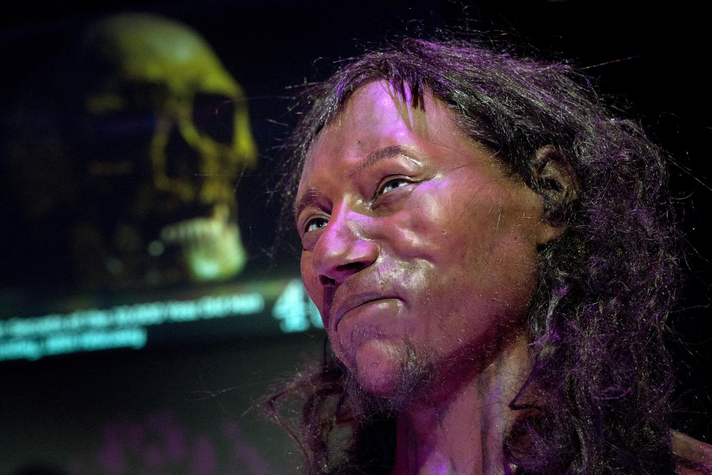 Cheddar-Man-Britain