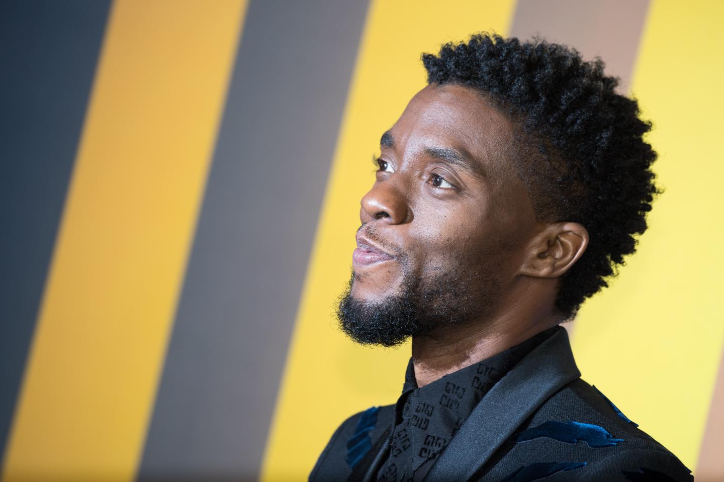 'Black Panther' European Premiere - Red Carpet Arrivals