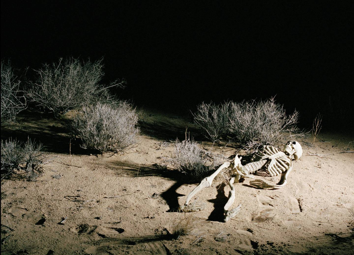 Skeleton in Desert