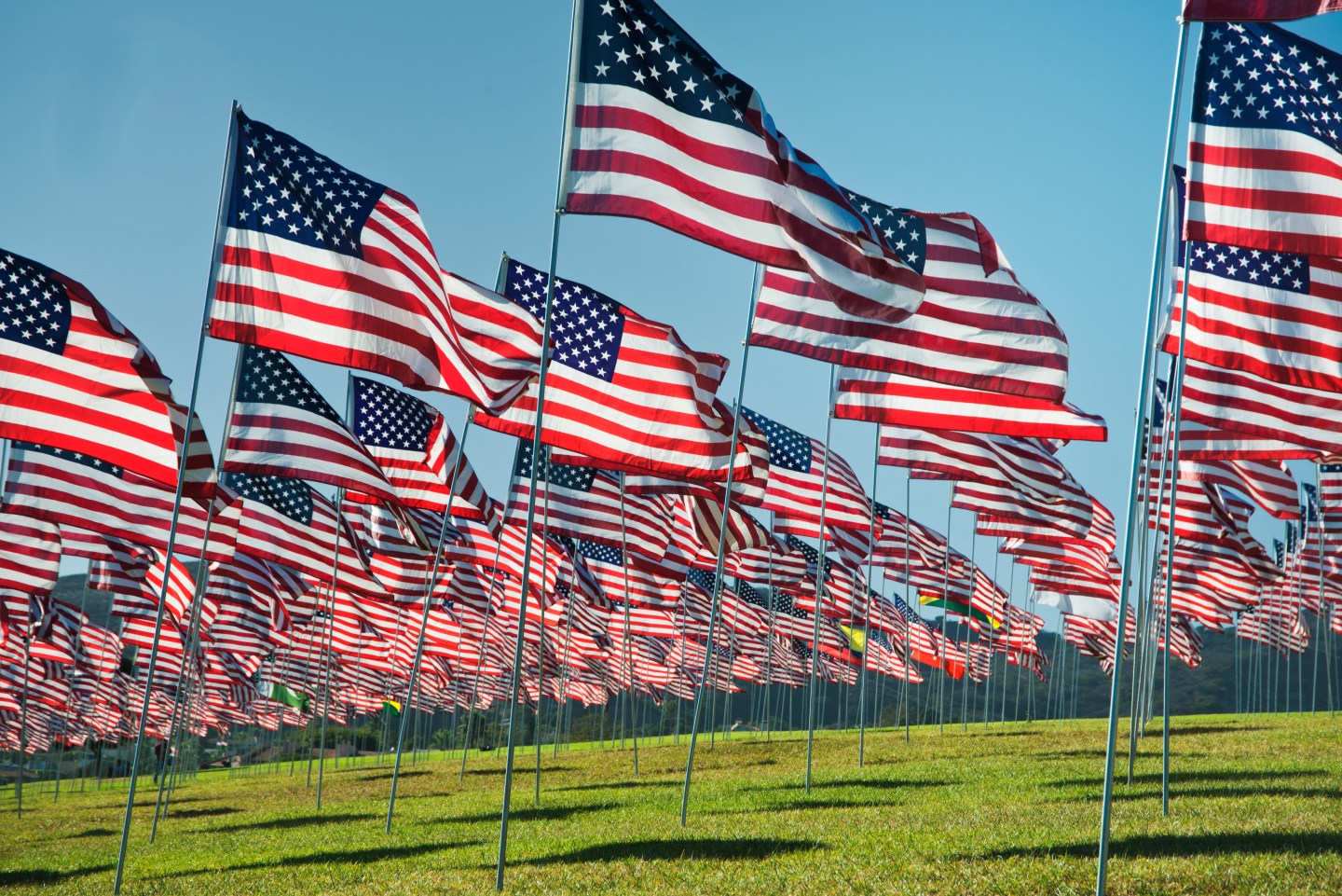 American Flags waving in the breeze