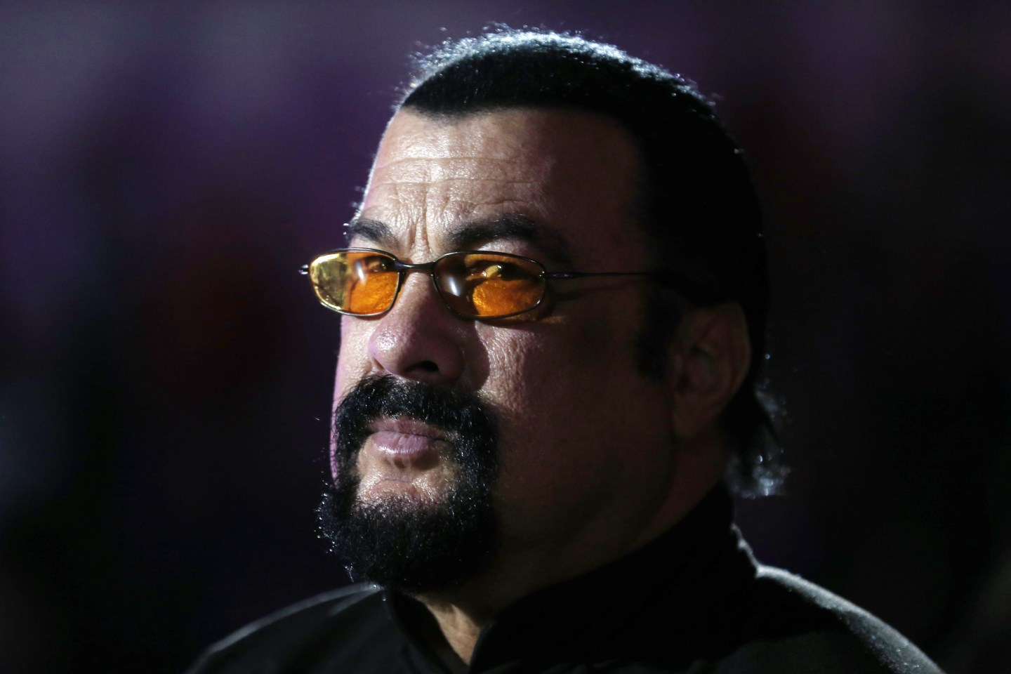 steven-seagal-portrait