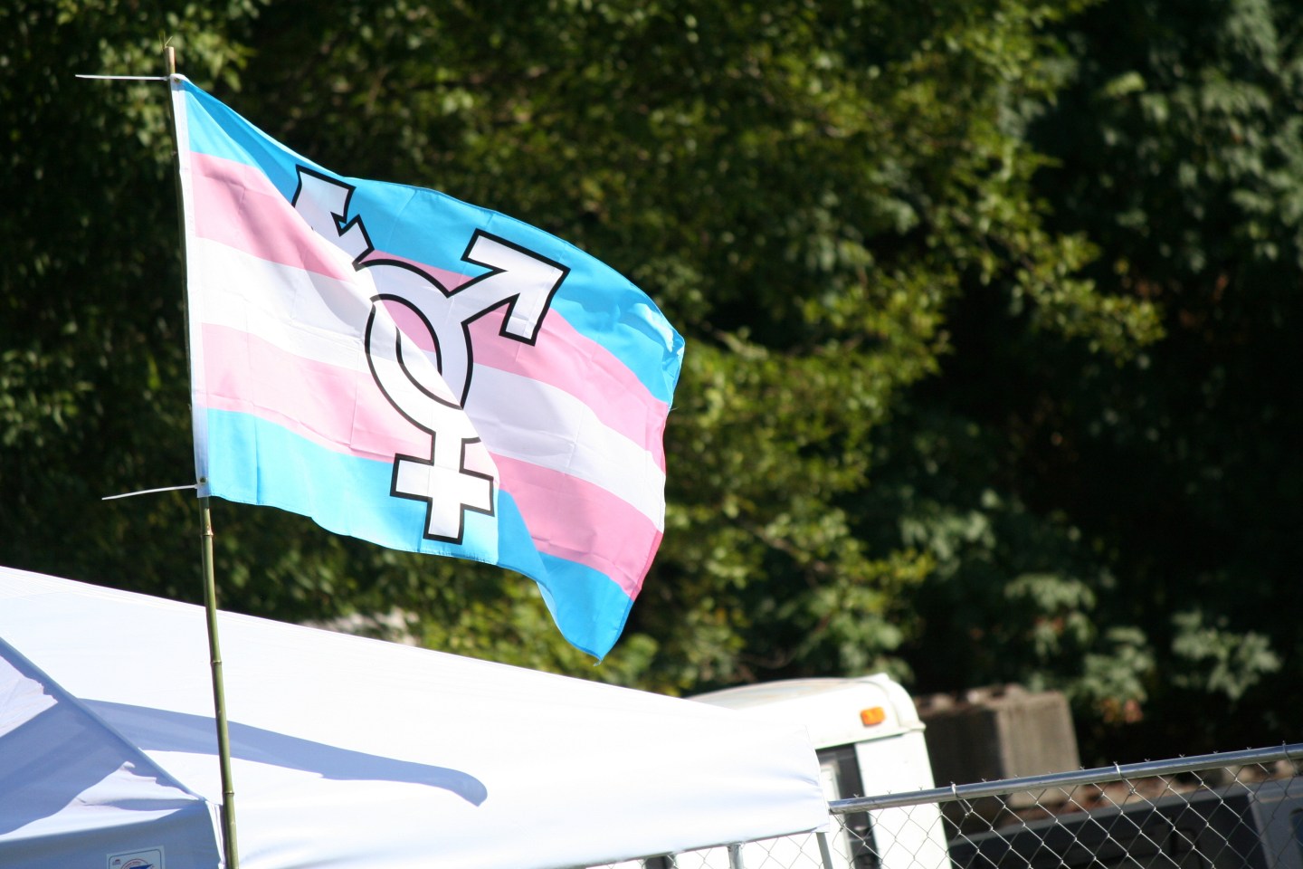 Transgender Flag Waving