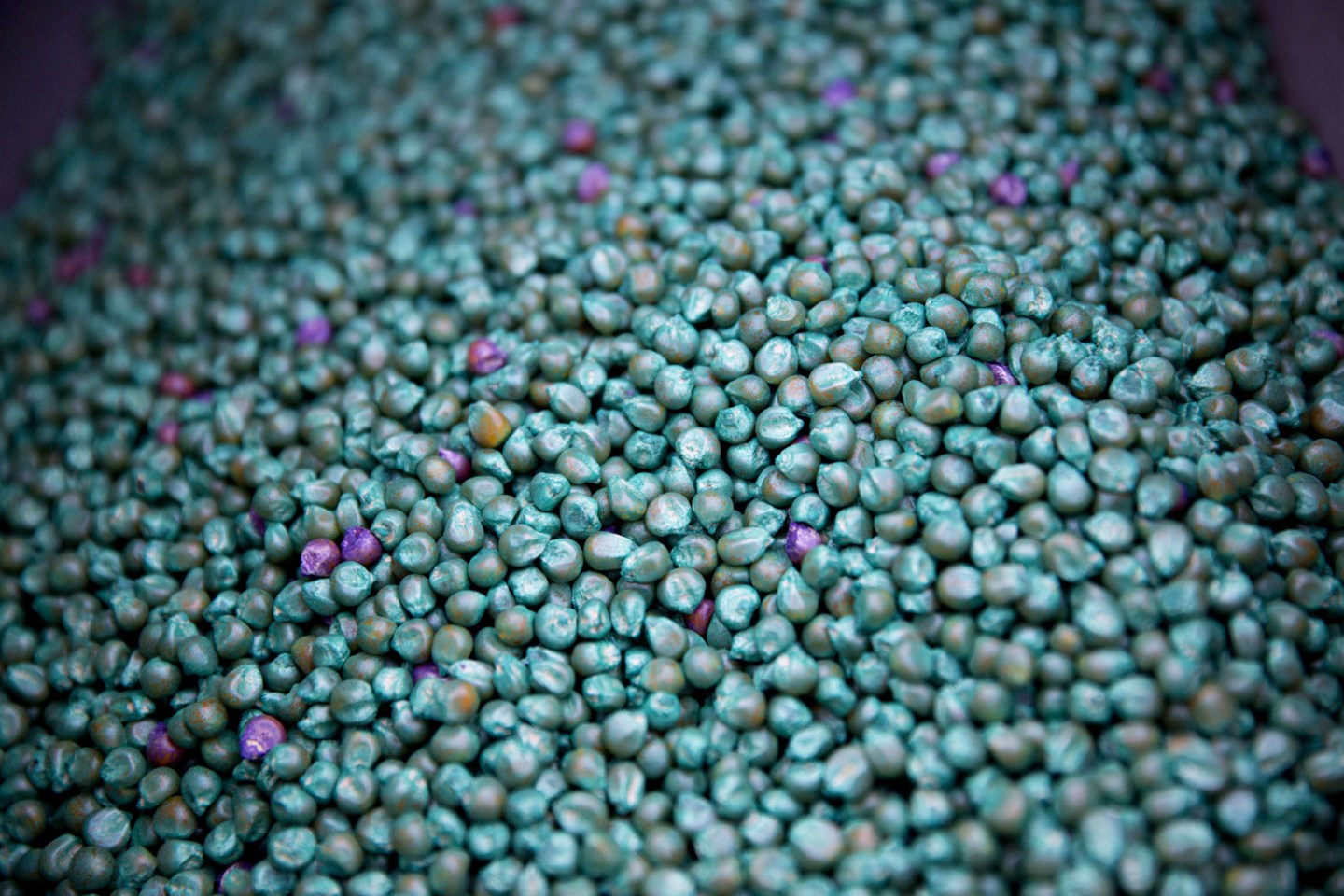 Bayer Clears EU Hurdle for Monsanto Deal With BASF Sale Pledge