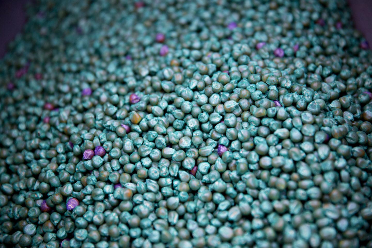 Bayer Clears EU Hurdle for Monsanto Deal With BASF Sale Pledge