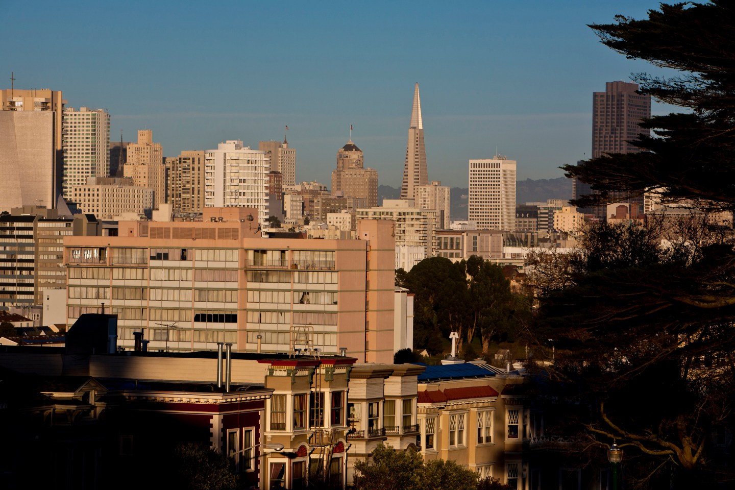Exploring Scenic San Francisco