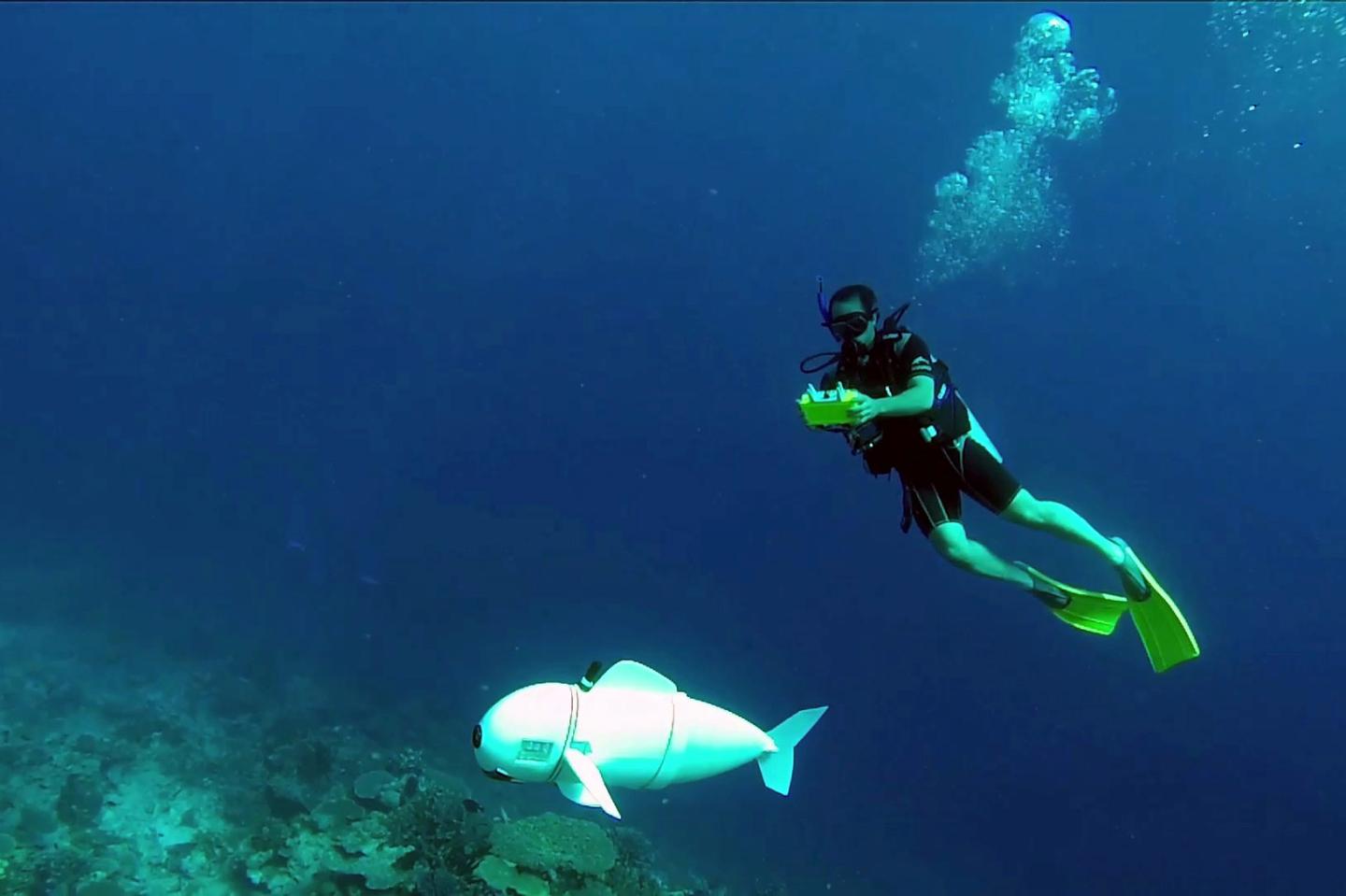 sofi-robot-fish-mit