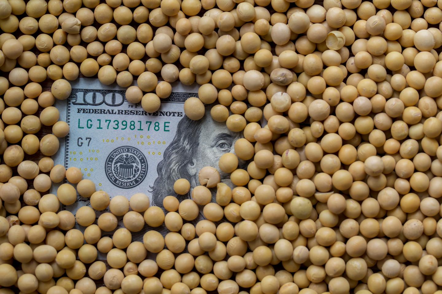 China's list of tariffs hit Trump States Hardest
