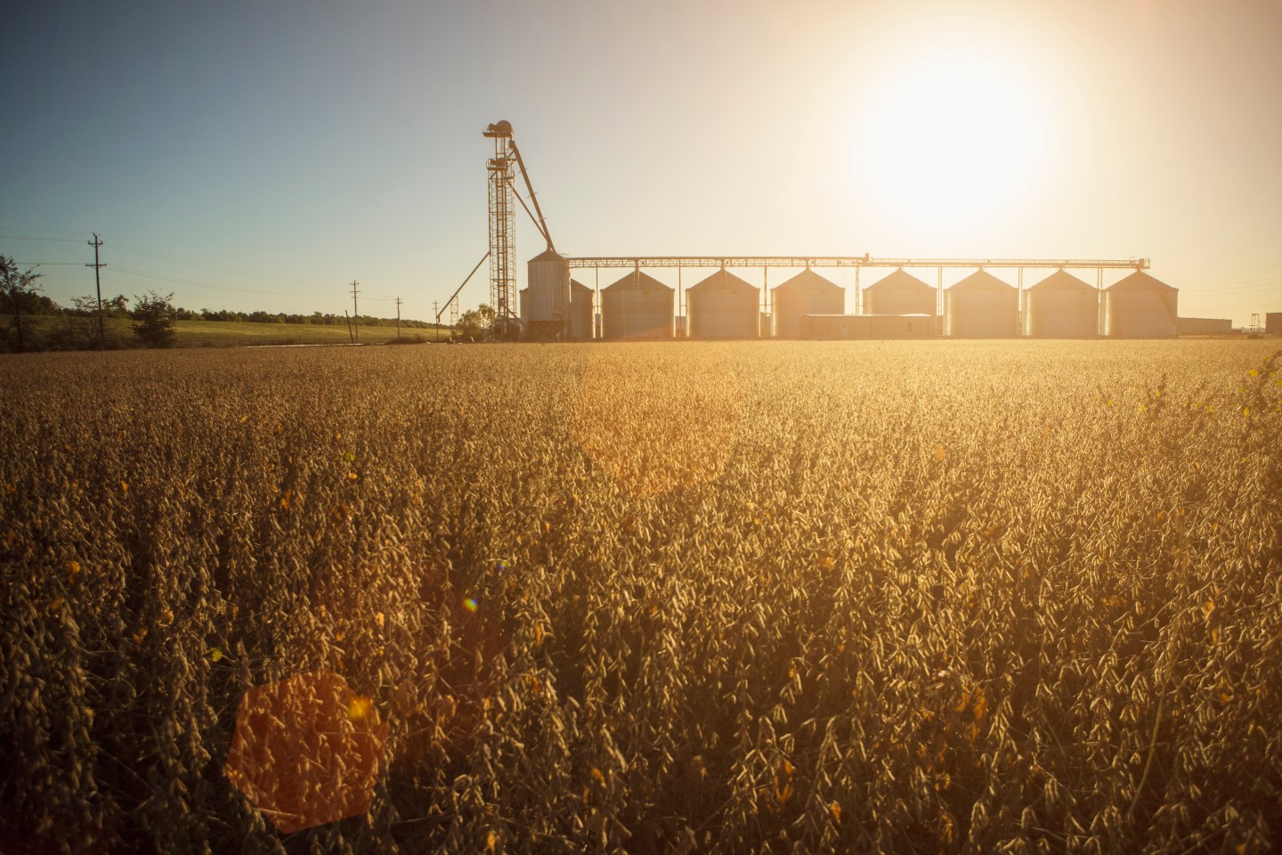 Silos and crops on a farm.